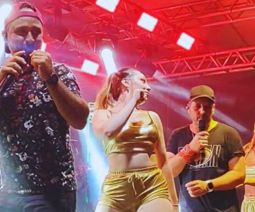 ilha-news-comissao-organizadora-carnaval-ilha-solteira-2026