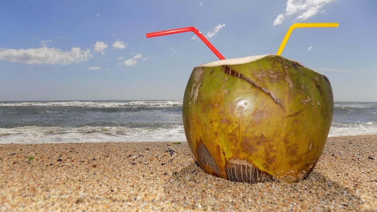 ilha-news-feriados-prolongados-2026-ilha-solteira