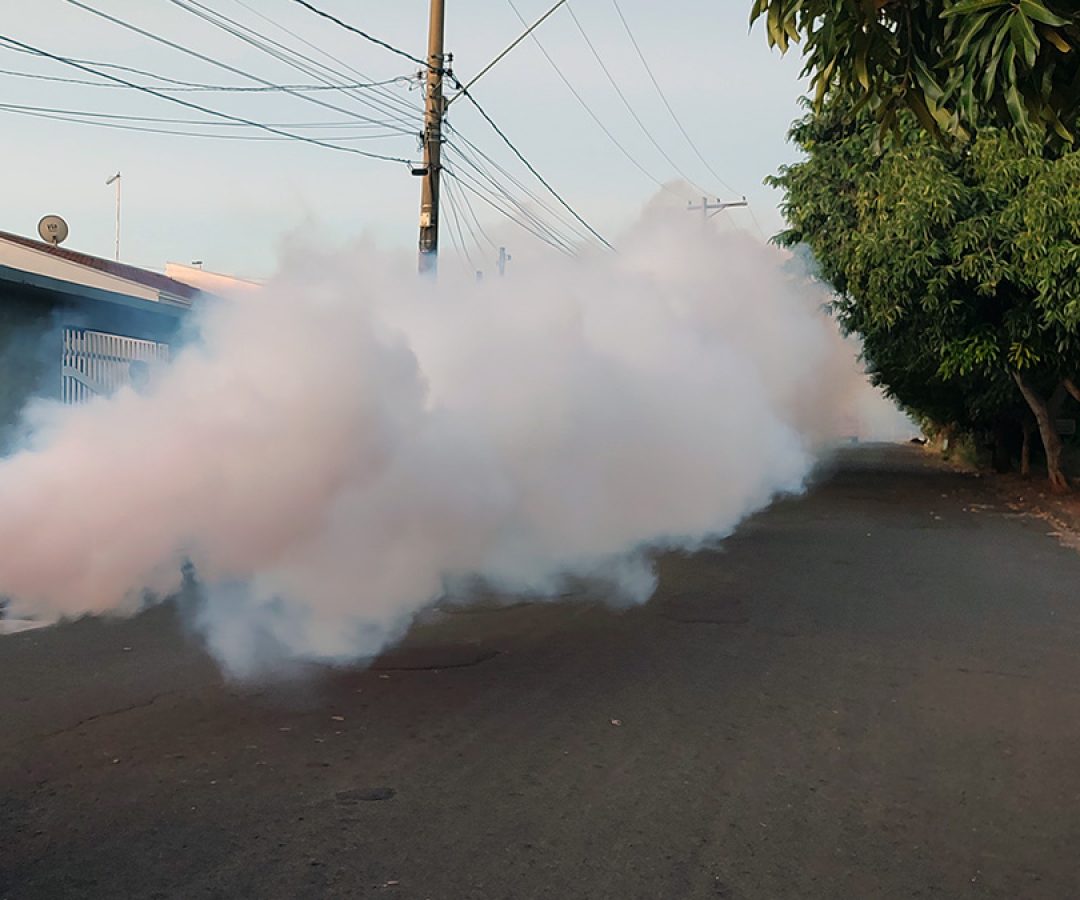 ilha-news-fumace-combate-a-dengue-ilha-solteira