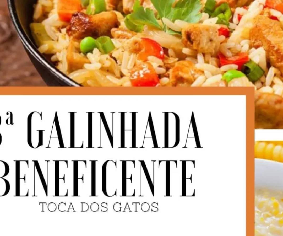ilha-news-galinhada-beneficente-toca-dos-gatos-ilha-solteira