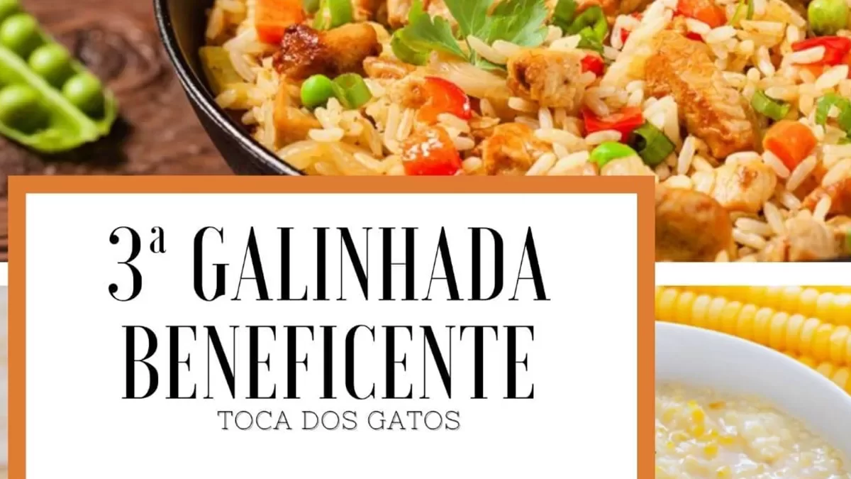 ilha-news-galinhada-beneficente-toca-dos-gatos-ilha-solteira