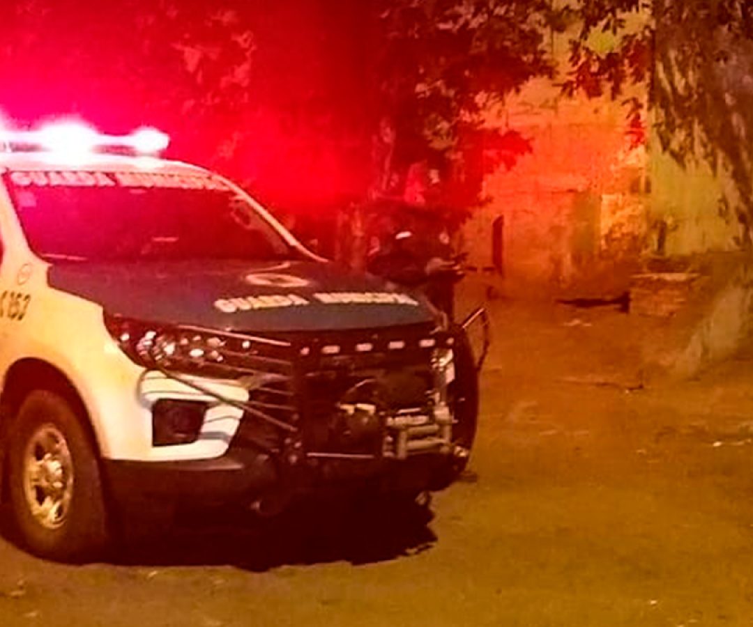 ilha-news-guarda-municipal-de-ilha-solteira-captura-procurado-da-justica