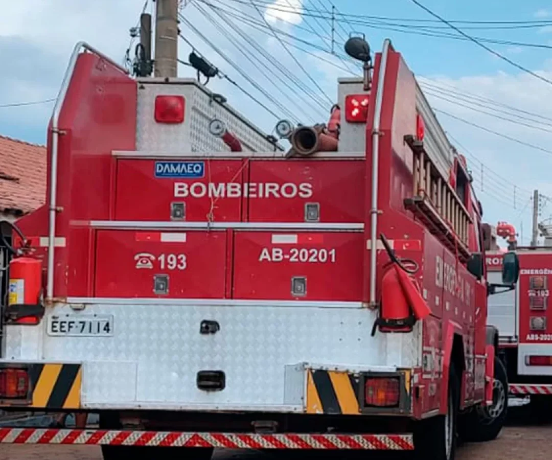 ilha-news-incendio-passeio-floresta-ilha-solteira