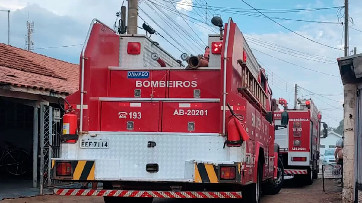 ilha-news-incendio-passeio-floresta-ilha-solteira