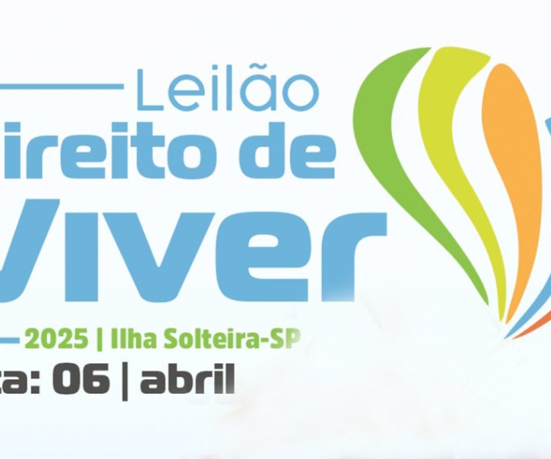 ilha-news-leilao-direito-de-viver-ilha-solteira