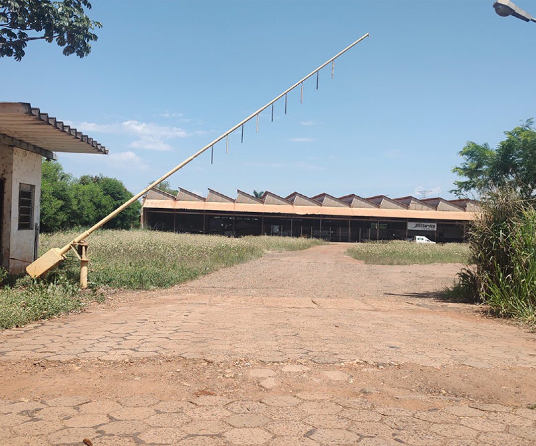 ilha-news-licitacao-nucleo-empresarial-prefeitura-de-ilha-solteira
