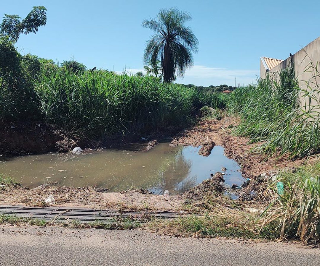 ilha-news-mato-guarda-municipal-ilha-solteira