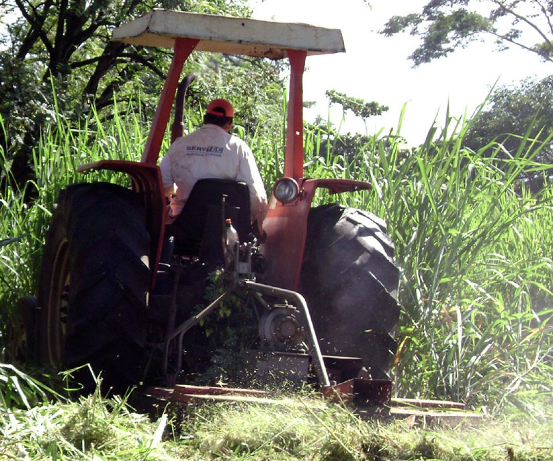 ilha-news-notificacao-limpeza-terrenos-ilha-solteira