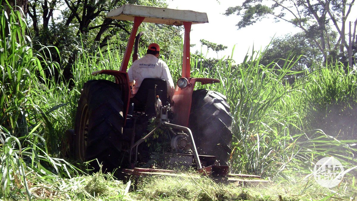 ilha-news-notificacao-limpeza-terrenos-ilha-solteira