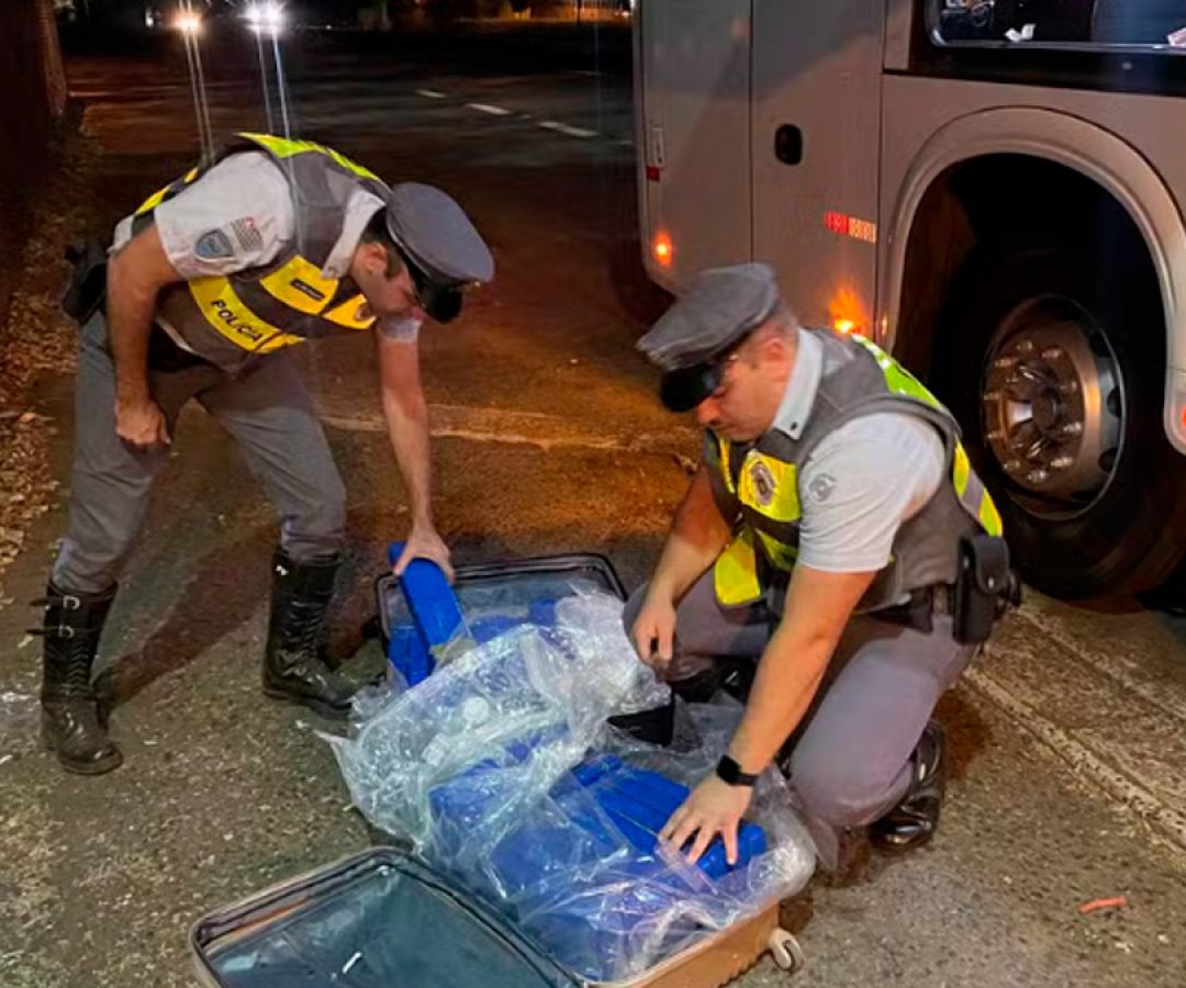 ilha-news-policia-apreende-maconha-onibus-ilha-solteira-sao-paulo