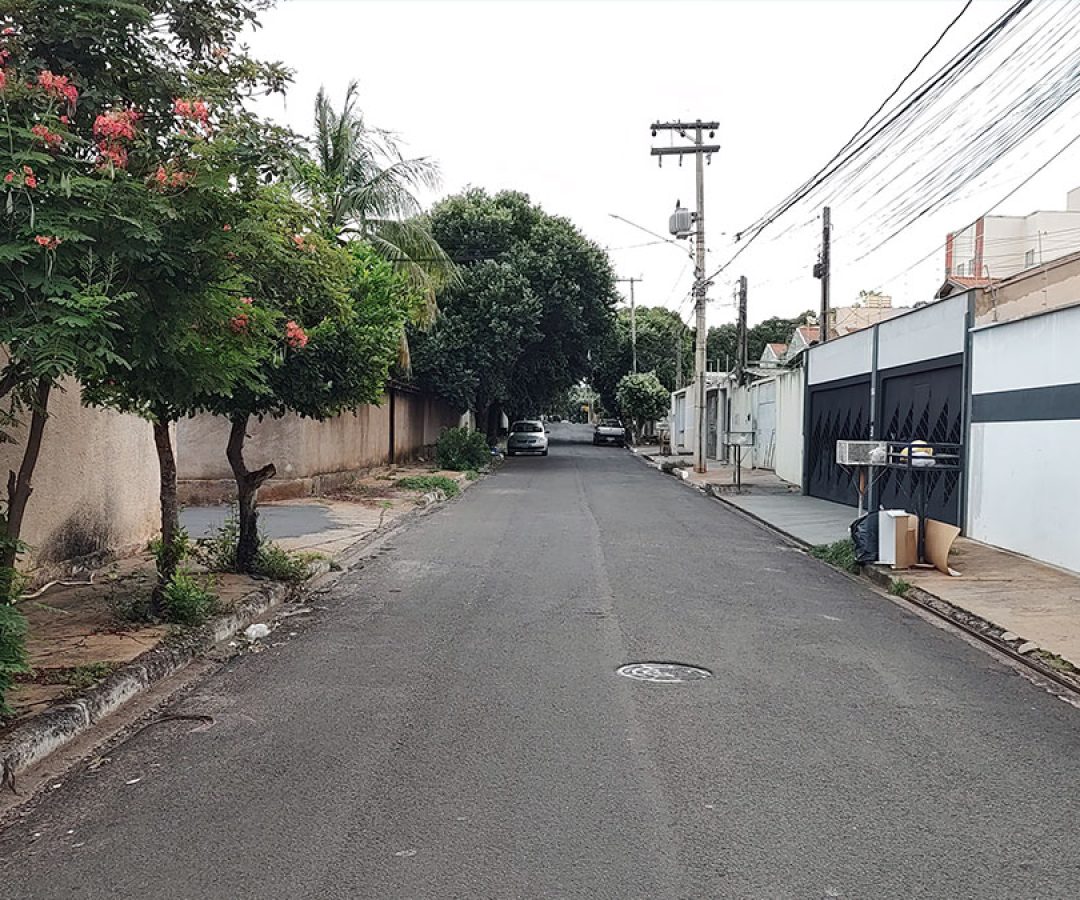ilha-news-primeira-notificacao-gatos-presos-apartamento-ilha-solteira