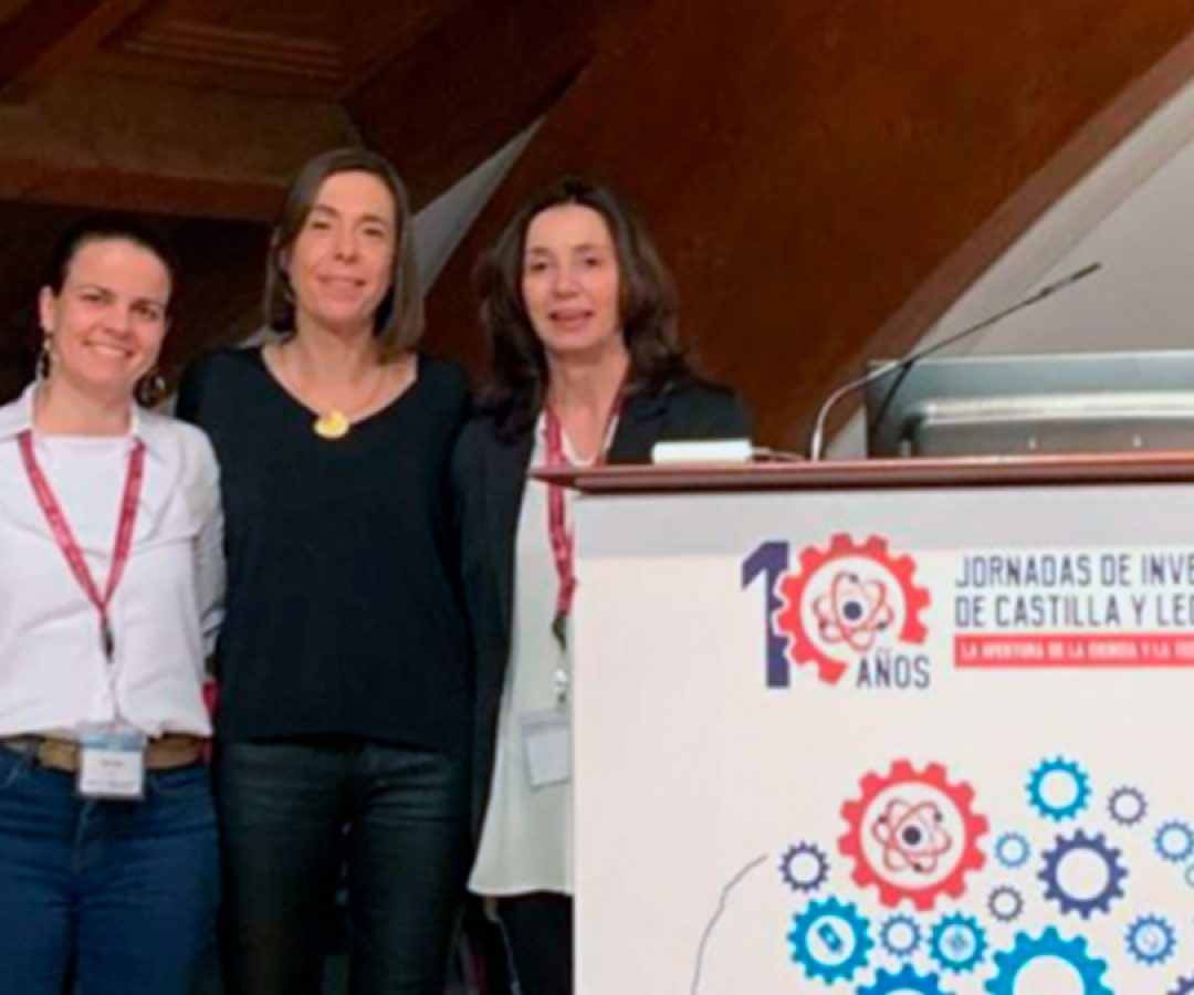 ilha-news-professora-recebe-premio-espanha-unesp-de-ilha-solteira