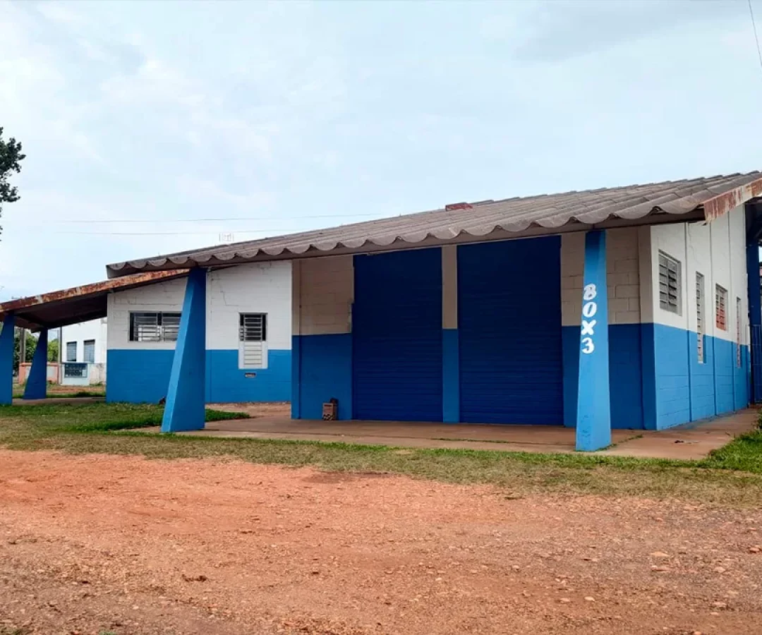 ilha-news-programa-incubadora-publica-municipal-ilha-solteira