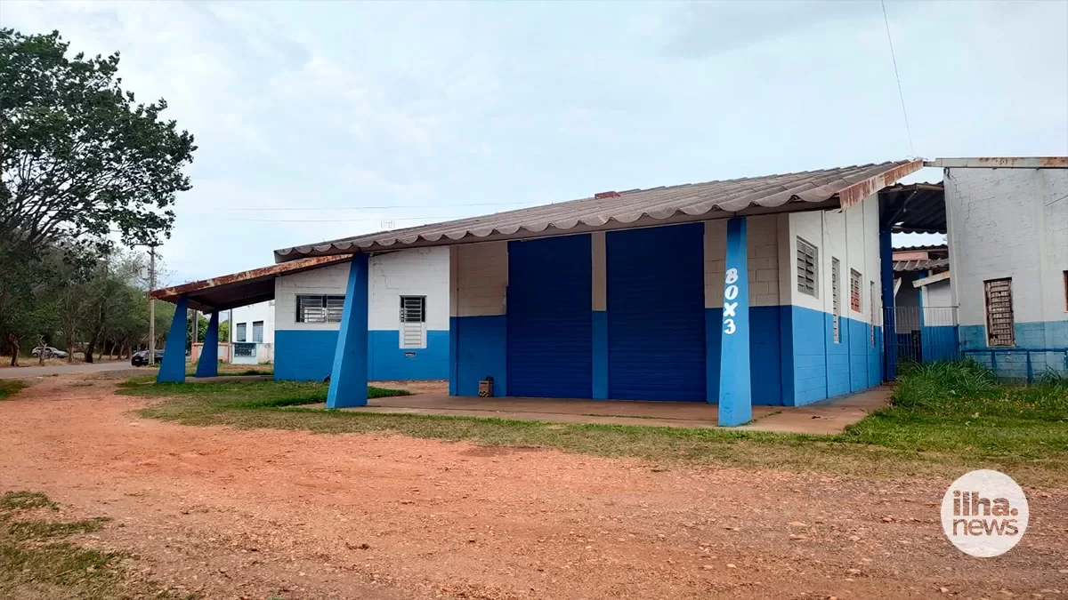 ilha-news-programa-incubadora-publica-municipal-ilha-solteira