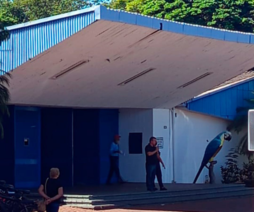 ilha-news-projeto-cria-secretaria-de-juventudade-cargos-prefeitura-de-ilha-solteira
