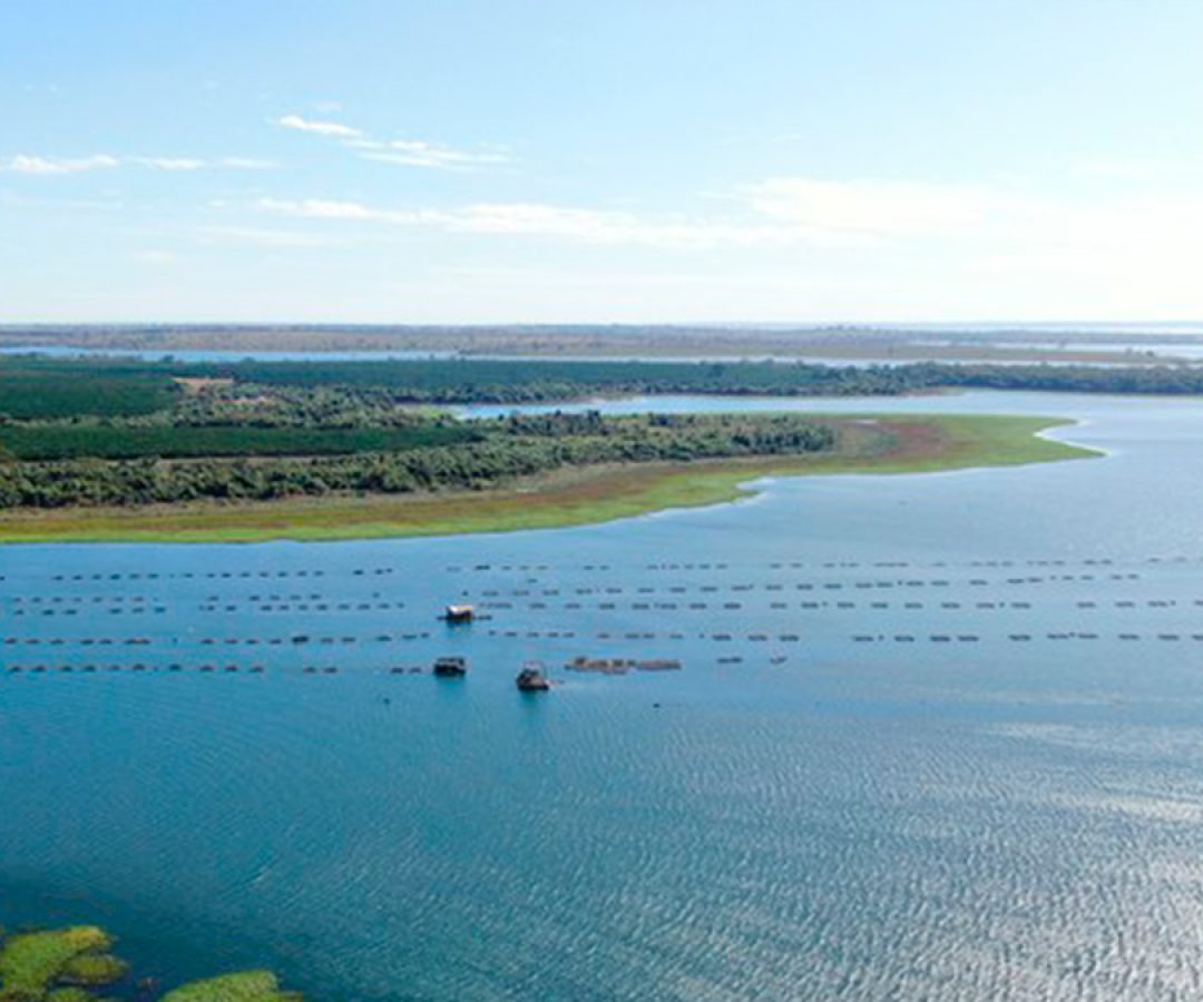 ilha-news-reservatorio-de-ilha-solteira ilha-news-reservatorio-de-ilha-solteira