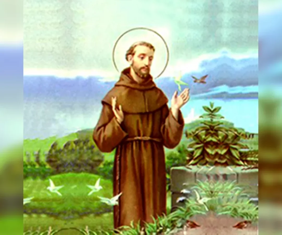 ilha-news-sao-francisco-de-assis-ilha-solteira