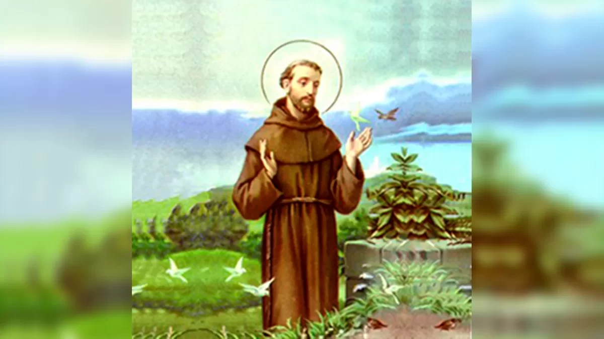 ilha-news-sao-francisco-de-assis-ilha-solteira