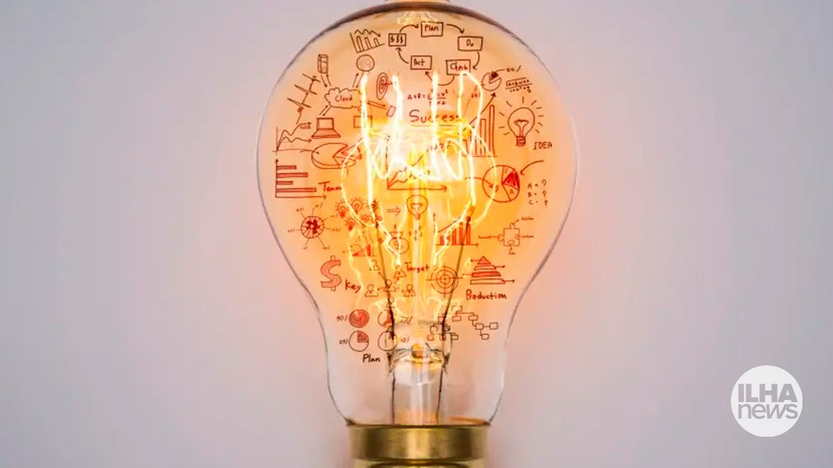 ilha-news-sebrae-sp-prorroga-inscricoes-programa-ali-ilha-solteira