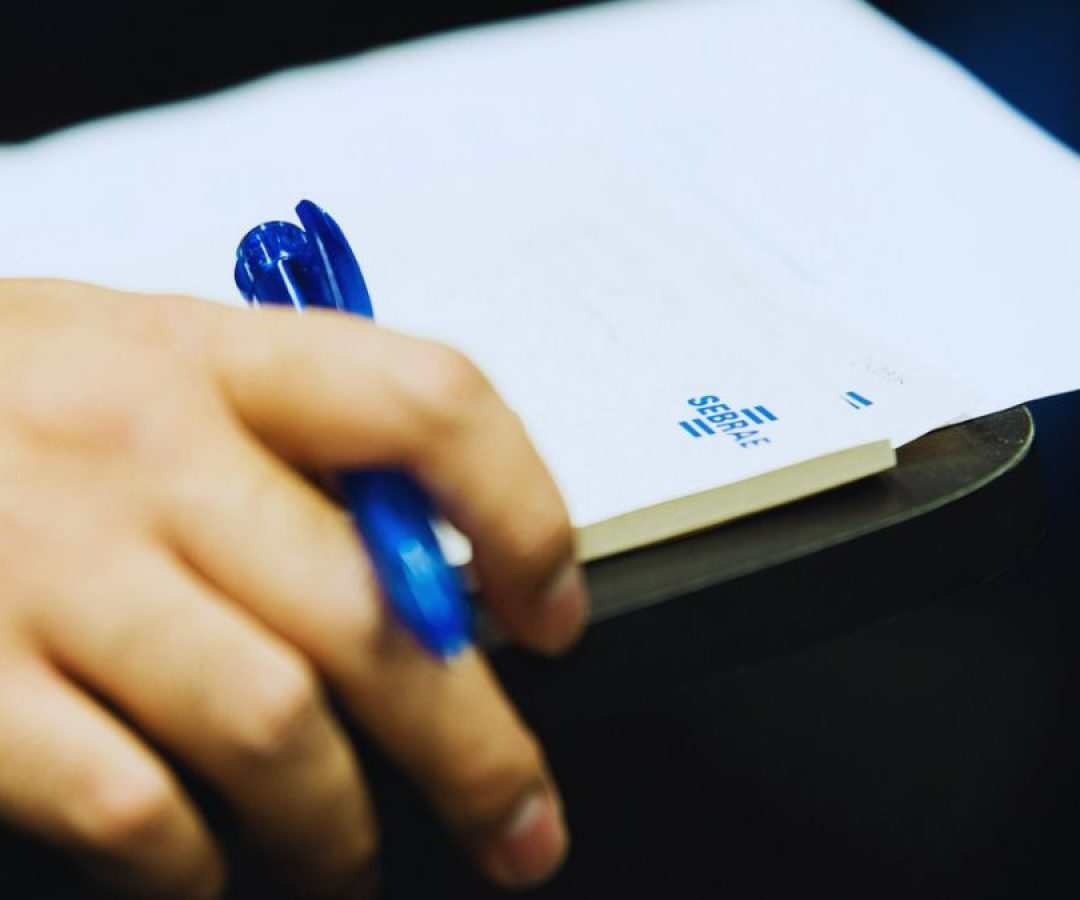 ilha-news-sebrae-sp-realiza-mais-ilha-solteira