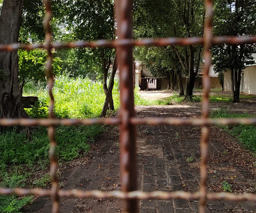 ilha-news-suspeito-homicidio-preso-flagrante-estupro-ilha-solteira