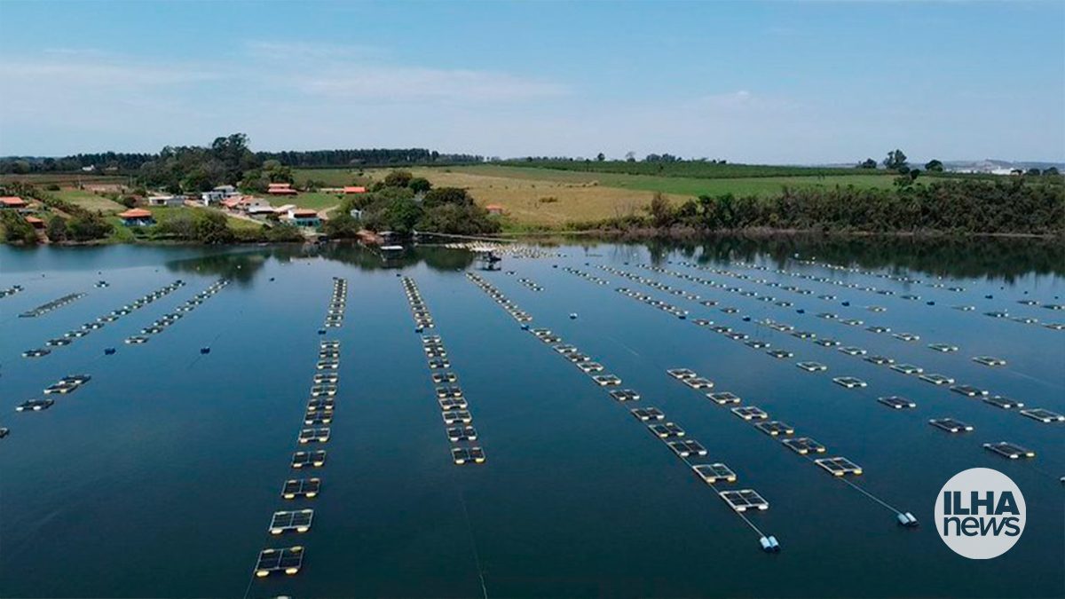 ilha-news-termina-prazo-edital-parque-aquicola-ilha-solteira