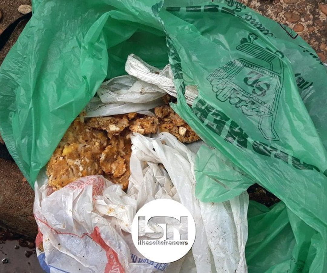 ilha-solteira-news-animais-mortos-rua-carolina-caso-policia