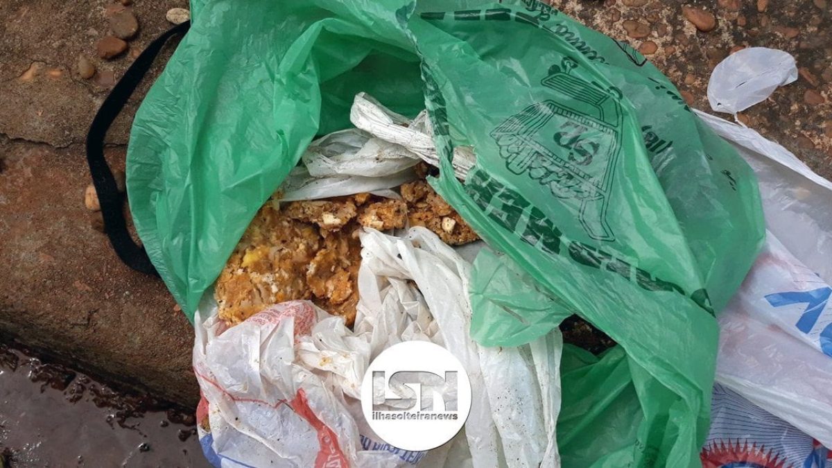 ilha-solteira-news-animais-mortos-rua-carolina-caso-policia