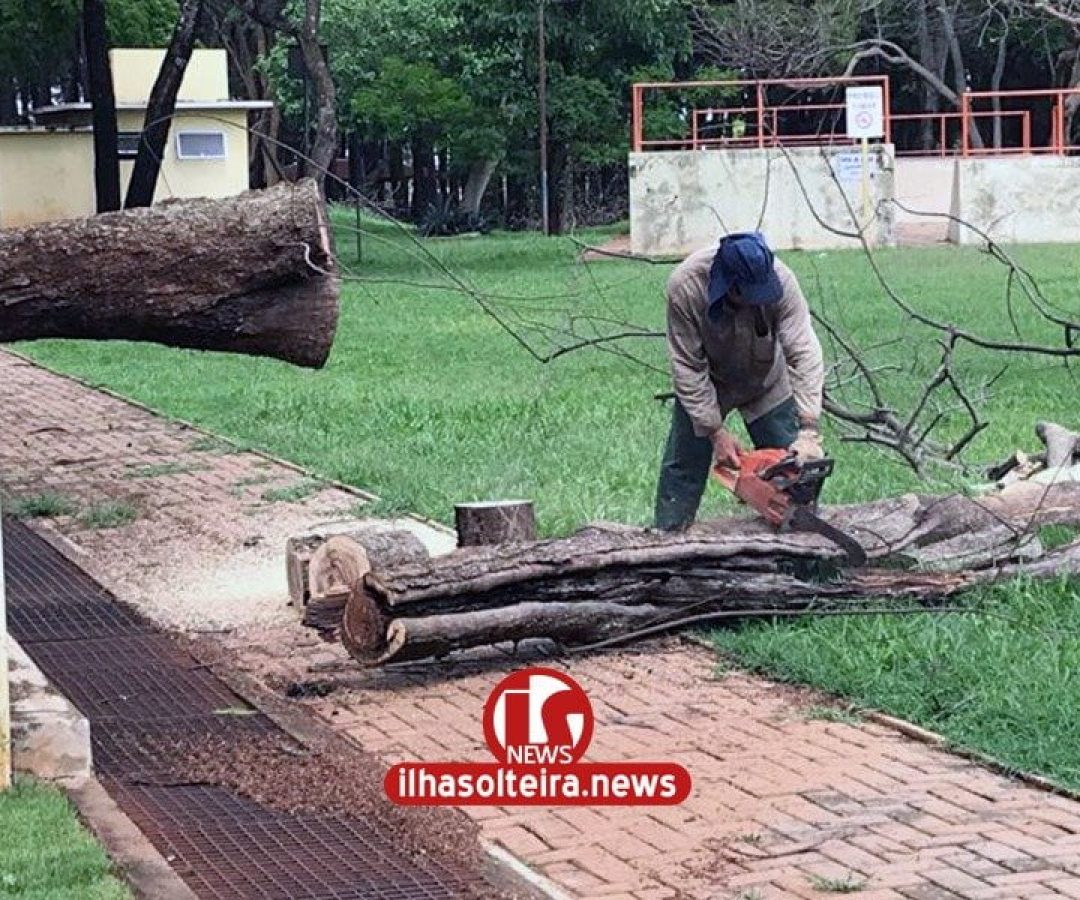 ilha-solteira-news-area-de-lazer-cidade-da-crianca