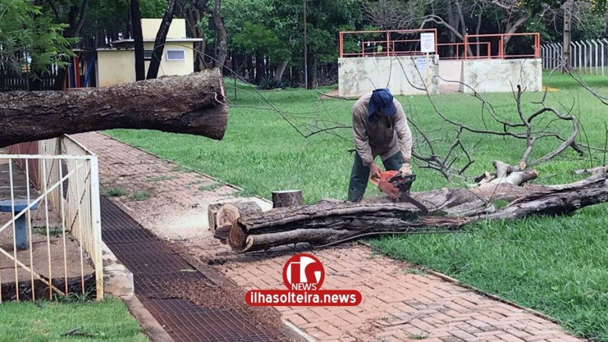 ilha-solteira-news-area-de-lazer-cidade-da-crianca