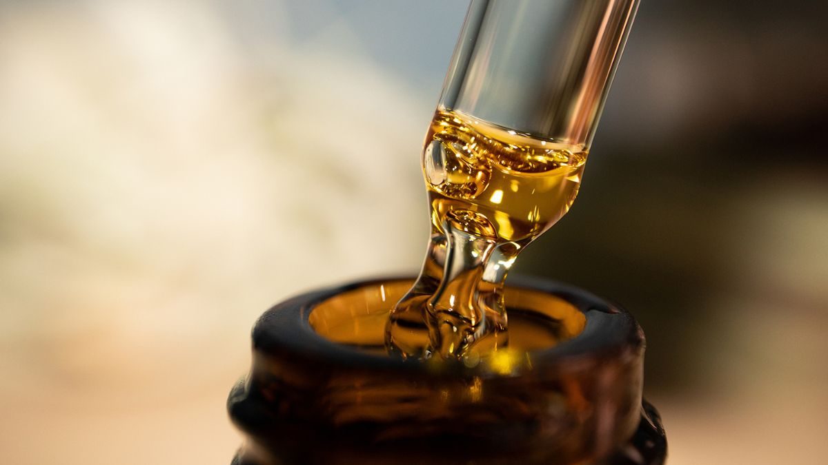 ilha-solteira-news-canabidiol-tjsp