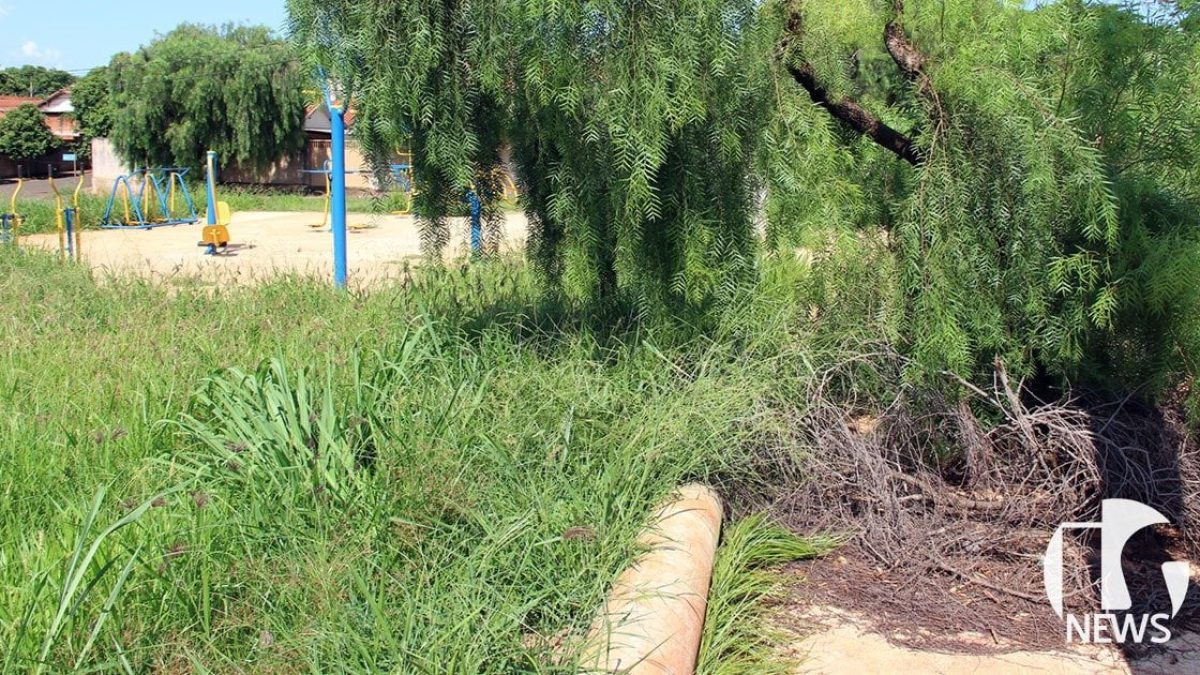 ilha-solteira-news-cdhu-mato-alto-sujeira-entulho-prefeitura