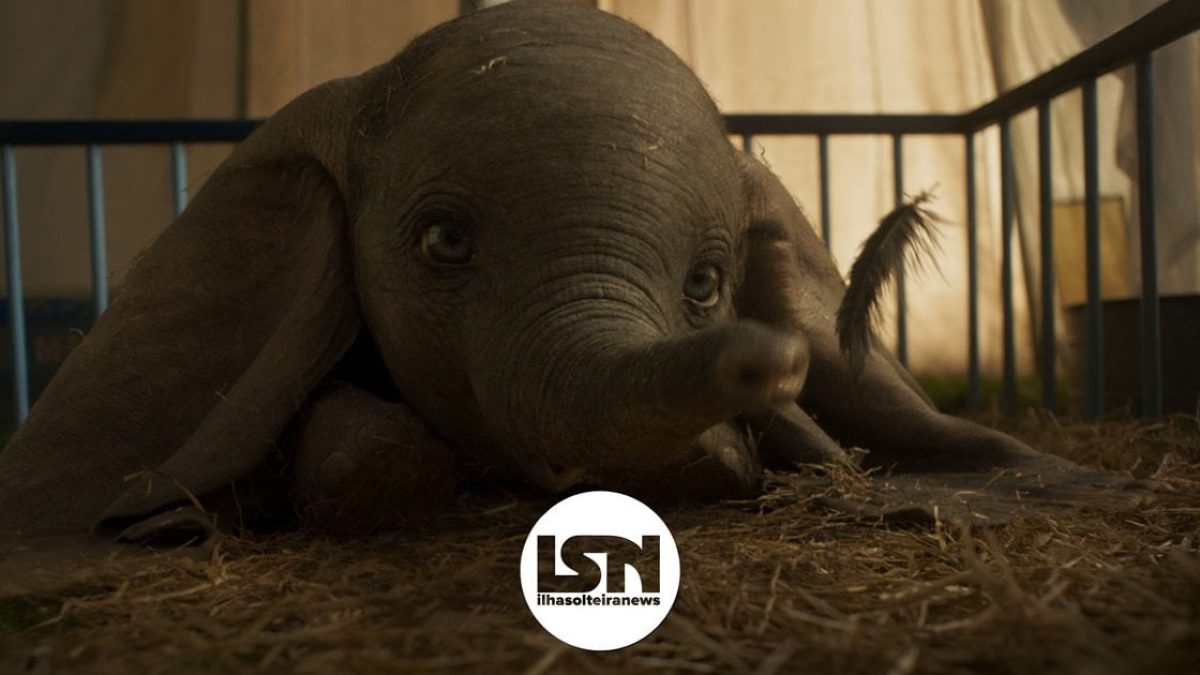 ilha-solteira-news-cinema-starcine-filmes-shopping-dumbo-shazam-a-cinco-passos-de-voce