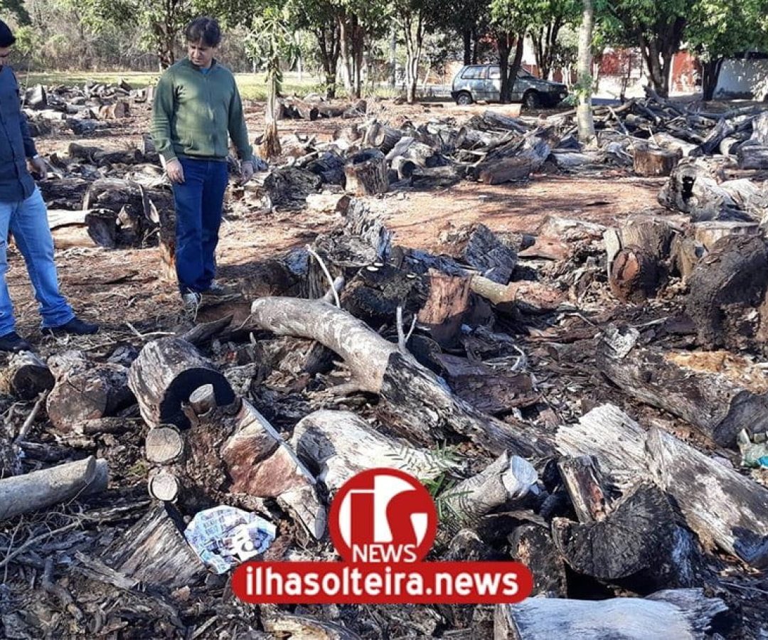 ilha-solteira-news-deposito-irregular-madeira-novo-horizonte-vereadores-dalmi-kokim-min