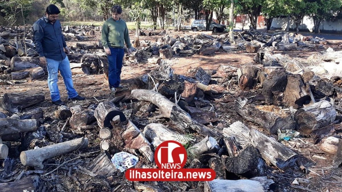 ilha-solteira-news-deposito-irregular-madeira-novo-horizonte-vereadores-dalmi-kokim-min