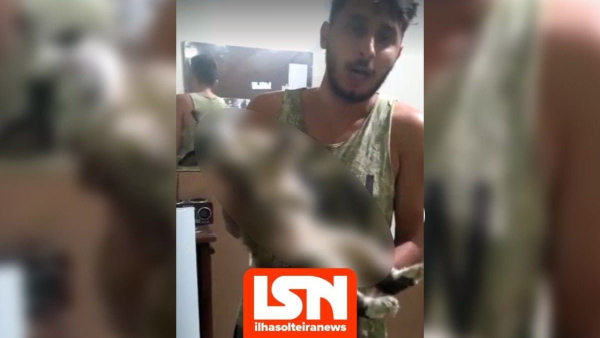 ilha-solteira-news-gatos-envenenados-passeio-maringa