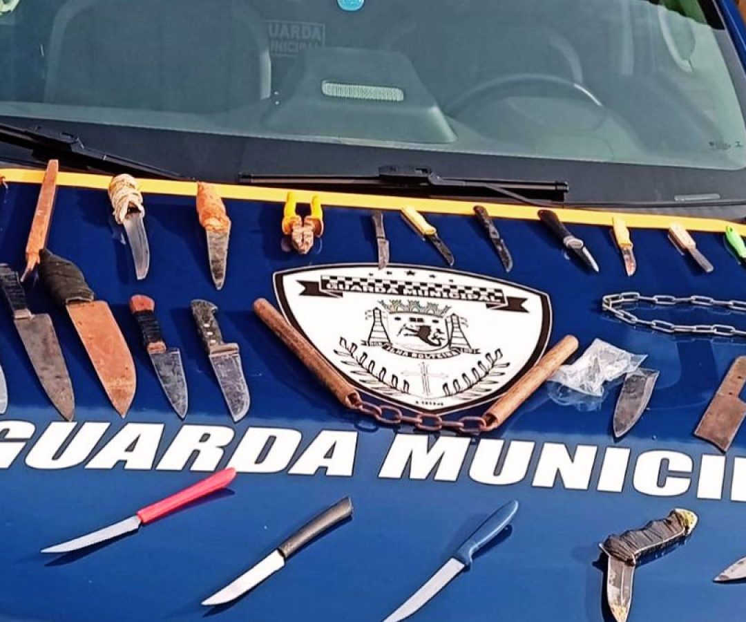 ilha-solteira-news-guarda-municipal-apreende-30-armas-brancas-quadrimestre