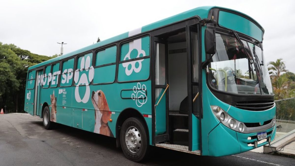 ilha-solteira-news-mutirao-de-castracao-microchipagem