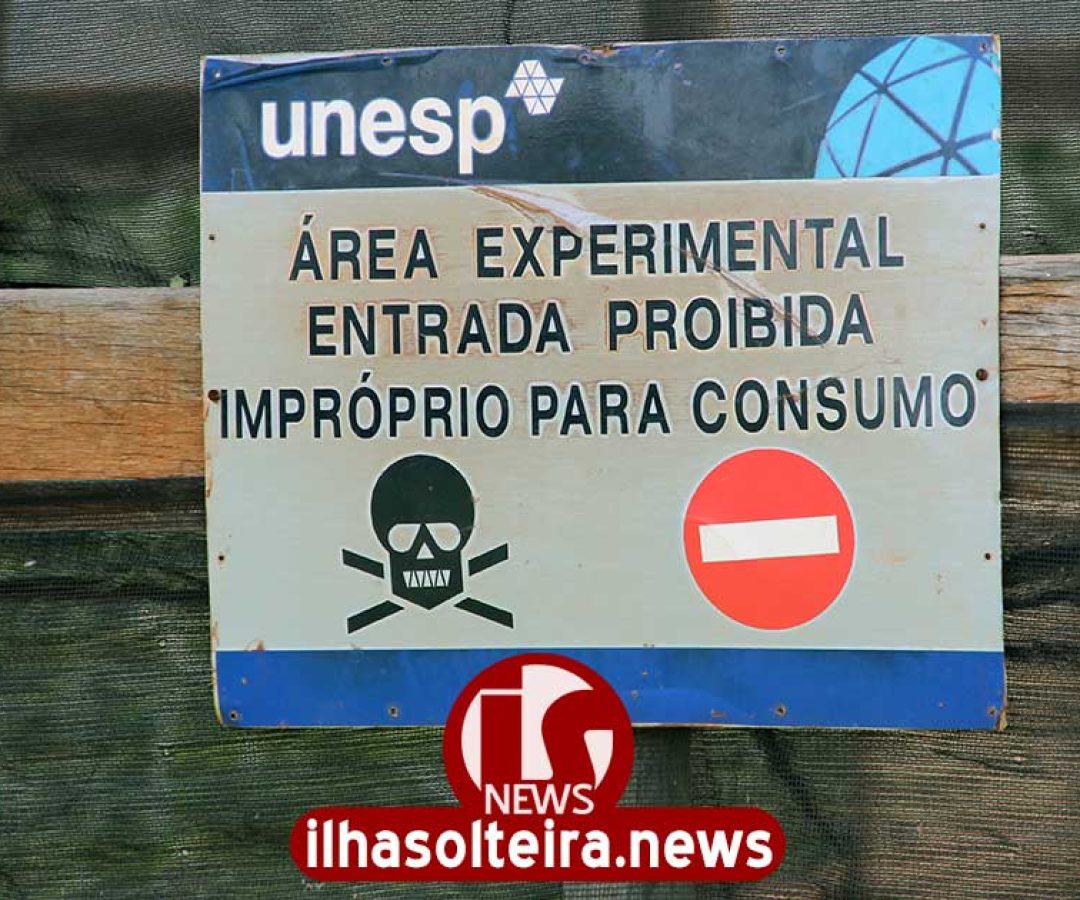 ilha-solteira-news-peixes-furtados-unesp ilha-solteira-news-peixes-furtados-unesp