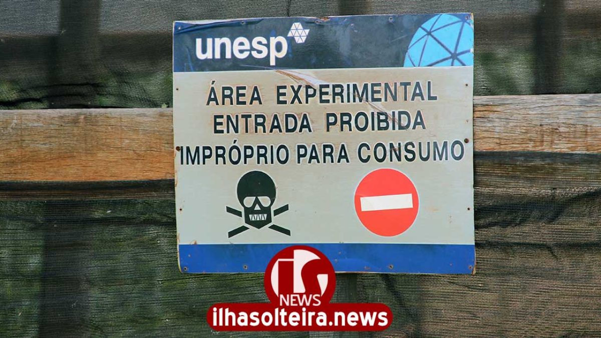 ilha-solteira-news-peixes-furtados-unesp