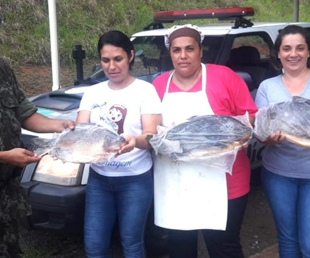 ilha-solteira-news-policia-militar-ambiental-fiscalizacao-apreensao-peixaria