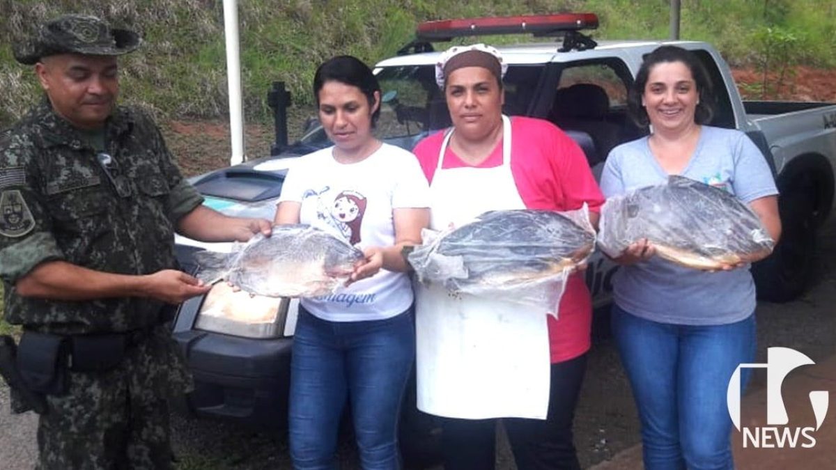 ilha-solteira-news-policia-militar-ambiental-fiscalizacao-apreensao-peixaria