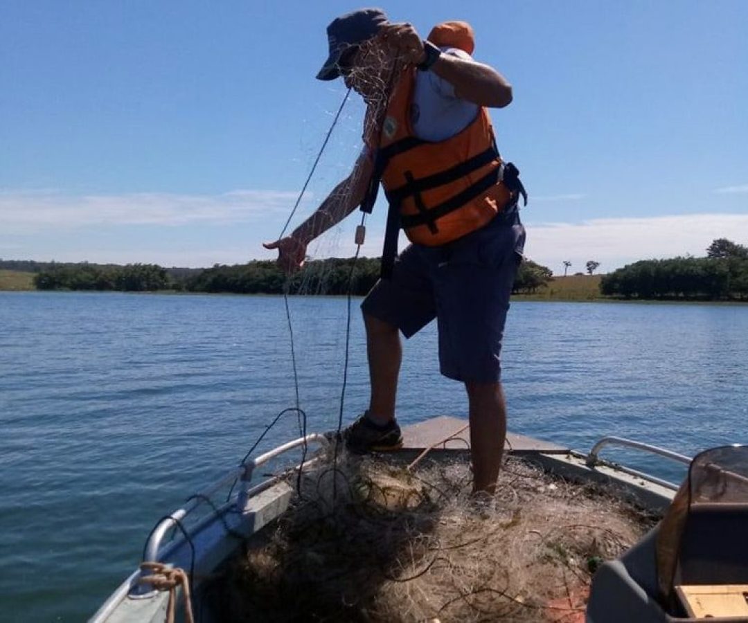 ilha-solteira-news-policia-militar-ambiental-piracema-min