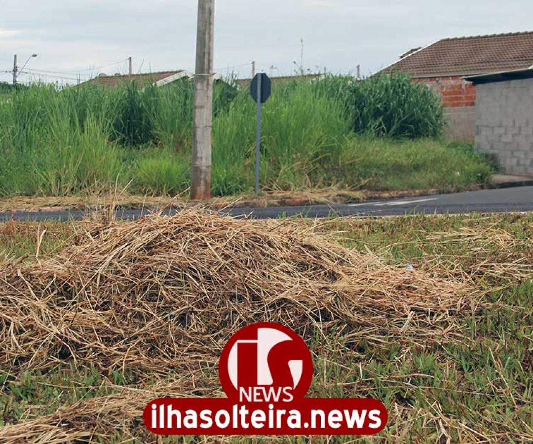 ilha-solteira-news-prefeitura-terceiriza-rocagem