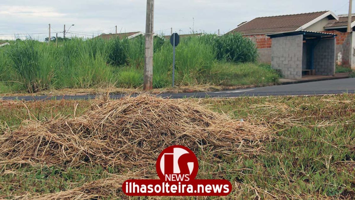 ilha-solteira-news-prefeitura-terceiriza-rocagem