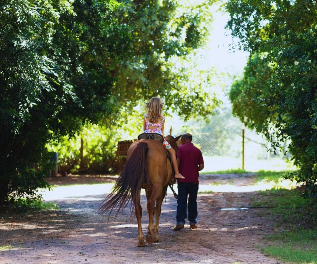 ilha-solteira-news-sebrae-sp-seminario-turismo-rural-aracatuba