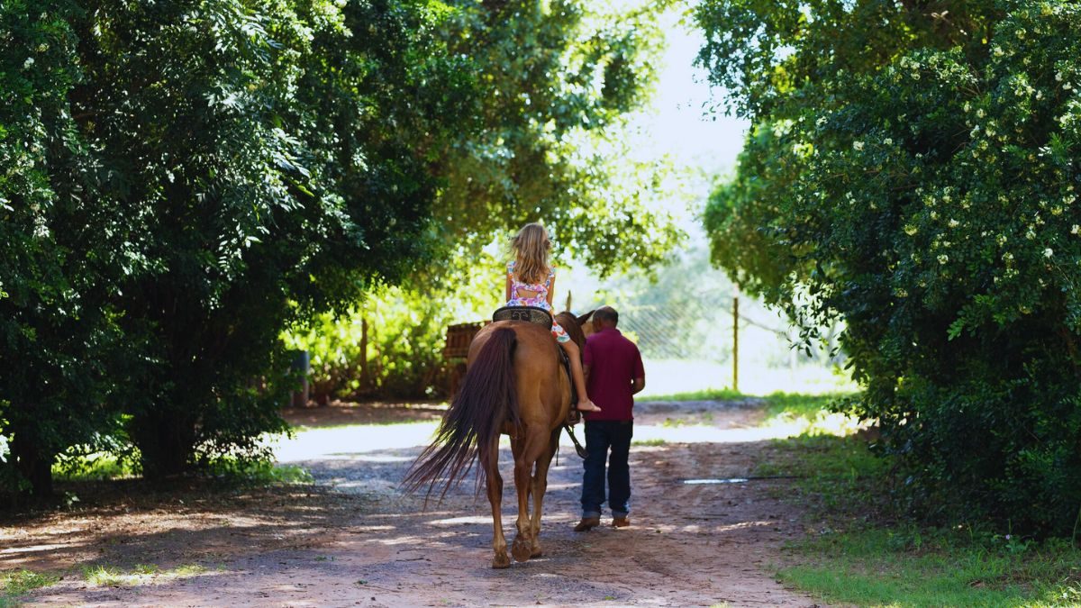 ilha-solteira-news-sebrae-sp-seminario-turismo-rural-aracatuba