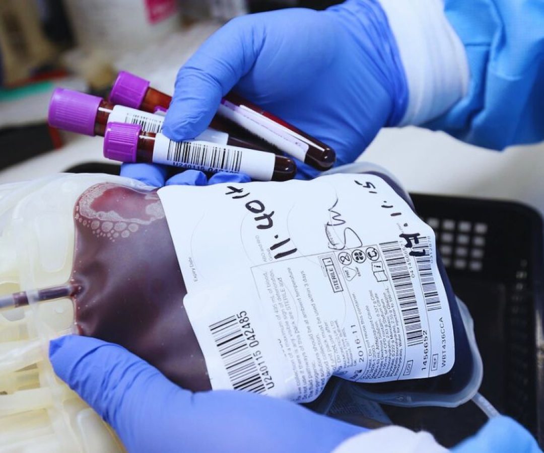 ilha-solteira-news-transfusao-de-sangue-testemunha-de-jeova