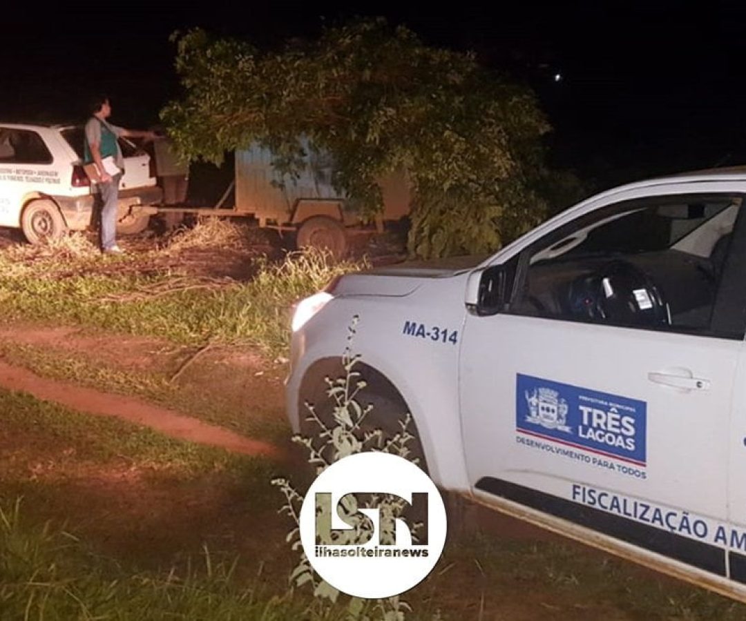 ilha-solteira-news-tres-lagoas-operacao-porco-solto