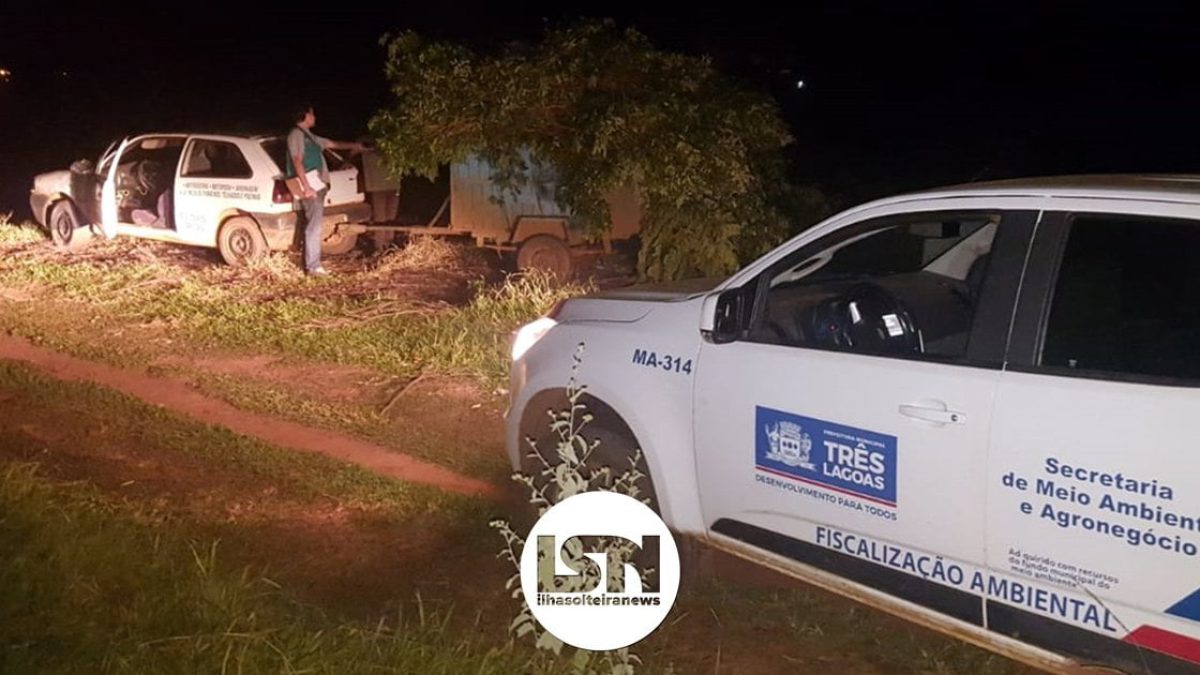 ilha-solteira-news-tres-lagoas-operacao-porco-solto